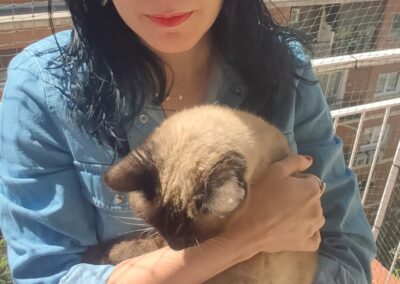 Elisa - Servicios gatúnicos